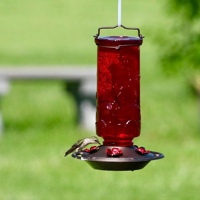 Ruby Embossed Glass Hummingbird Feeder 