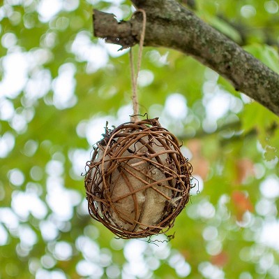 Circle Vine Nesting Ball with Nesting Material Set of 3 