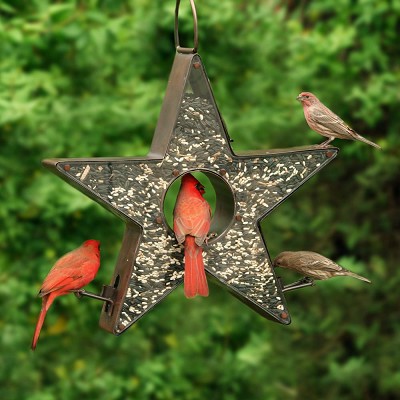 Star Fly-Thru Copper Bird Feeder 