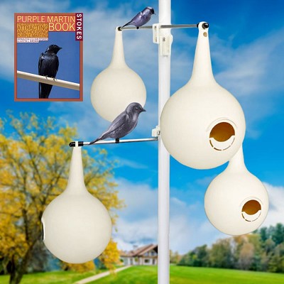 Classic Purple Martin Gourds and 15' Pole Package 
