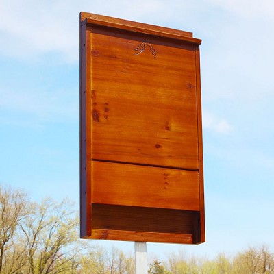 Best Premium Stained Bat House Dark Brown 100 Bats 