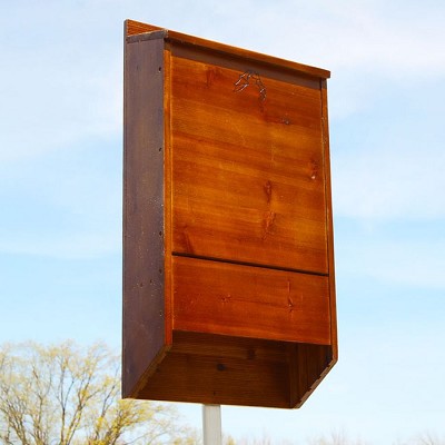Best Premium Stained Bat House Dark Brown 400 Bats 