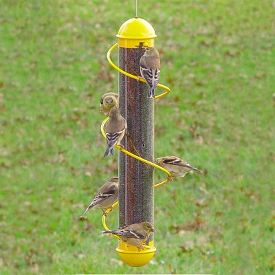 Bird Quest Yellow Spiral Thistle Feeder 17" 
