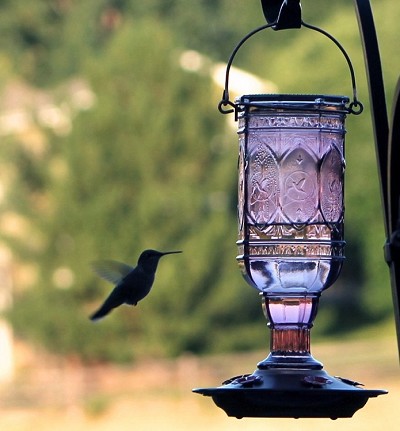 Amethyst Jewel 20 oz. Hummingbird Feeder 