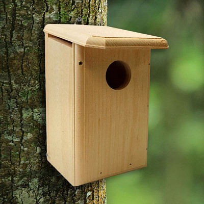 Conservation Flycatcher House 