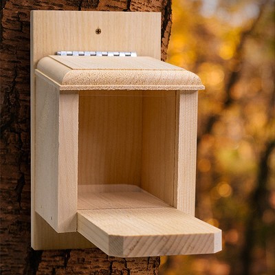 Conservation Peanut Munch Box Squirrel Feeder 