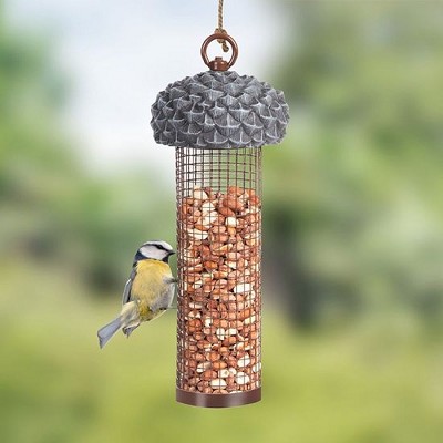 Best For Birds Acorn Peanut/Sunflower Mesh Feeder 