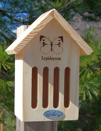 Basic Butterfly House 