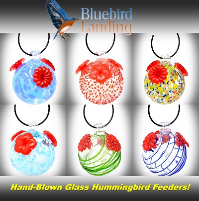 Blown Glass Hummingbird Feeder Assortment Set of 6 