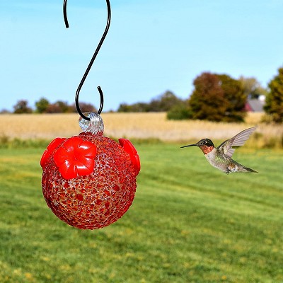 Red Textured Blown Glass Hummingbird Feeder 