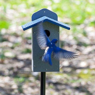 Green Solutions Recycled Plastic Bluebird House Gray w/Blue Roof and Pole Kit 