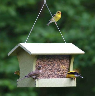 Green Solutions Recycled Plastic 3 Qt. Hopper Feeder 