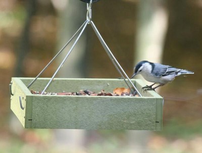  Green Solutions 16" x 12-1/2" Hanging Tray Feeder 