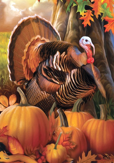 Briarwood Lane Harvest Turkey House Flag 