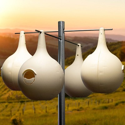 Purple Martin Lover's Two Piece Gourd 4/Pack 
