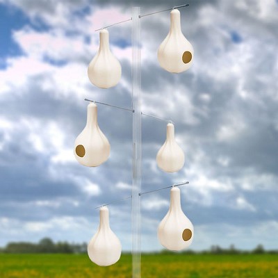 Heritage Farms Purple Martin Nesting Gourd 6/Pack 