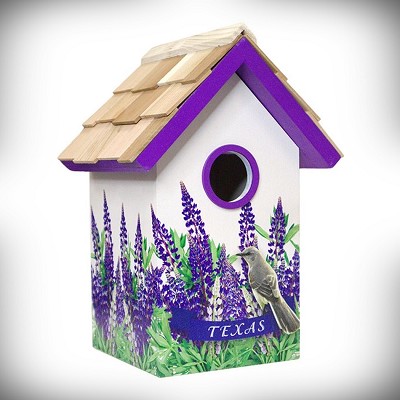 Texas Mockingbird and Bluebonnet Bird Cottage 