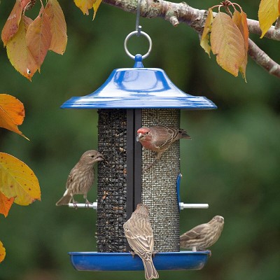 Cobalt Twin Feeder 