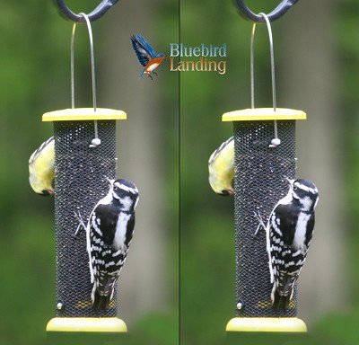 Economical Nyjer Feeder 2/Pack 