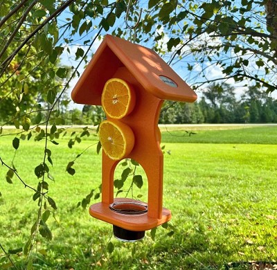 Recycled Poly Hourglass Fruit and Jelly Oriole Feeder 