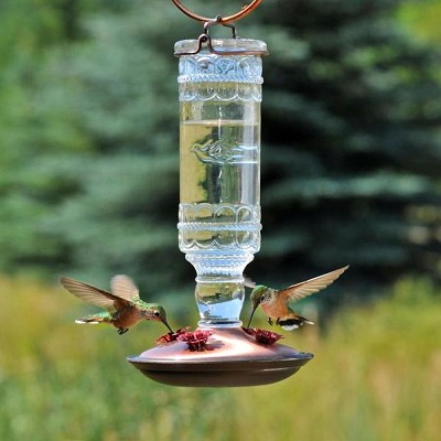 Antique Glass Bottle Hummingbird Feeder Clear 
