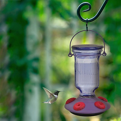 Lavender Field Top-Fill Glass Hummingbird Feeder  