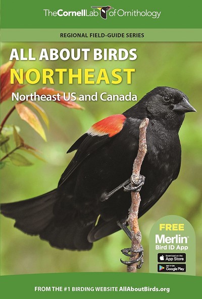 All About Birds Northeast US and Canada 