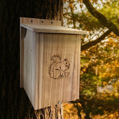 Prime Squirrel House 