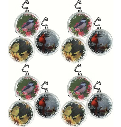 Glass Songbird Ornament Set of 12 