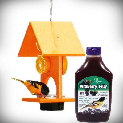 Recycled Plastic Oriole Feeder with 20 oz. BirdBerry Jelly 