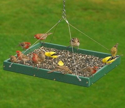 Recycled Plastic Large Hanging Platform Feeder Hunter Green 