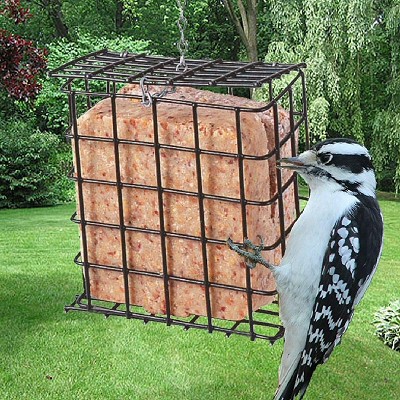 Single Suet Basket Feeder Black Set of 3 