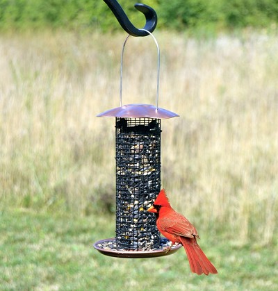 Petite Copper Sunflower Feeder 2/PAK 