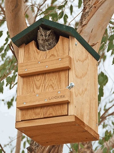 Looker Cedar Screech Owl/Kestrel House 