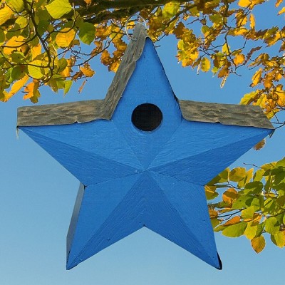 Country Star Bird House Blue 