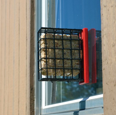 Recycled Plastic Window Suet Feeder Red 