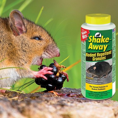 Shake-Away Fox/Bobcat Urine Powder for Rodents 28.5 oz. 2/Pack 
