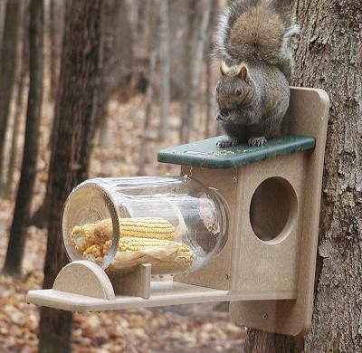 Recycled Plastic Squirrel Jar Feeder 