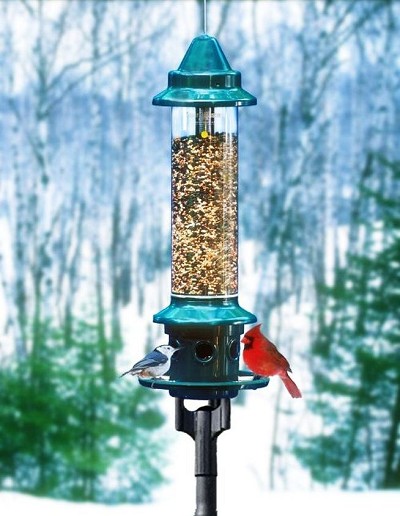 Squirrel Buster Plus Complete Pole Kit 