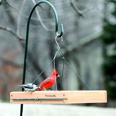 Audubon 3-in-1 Platform Feeder 