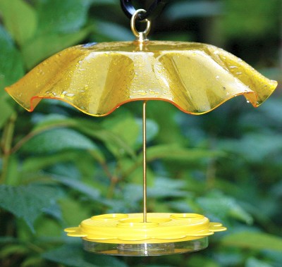 Flutterby Butterfly Feeder with Yellow Weather Guard 